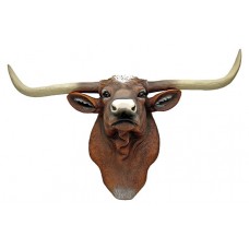 TEXAS LONGHORN